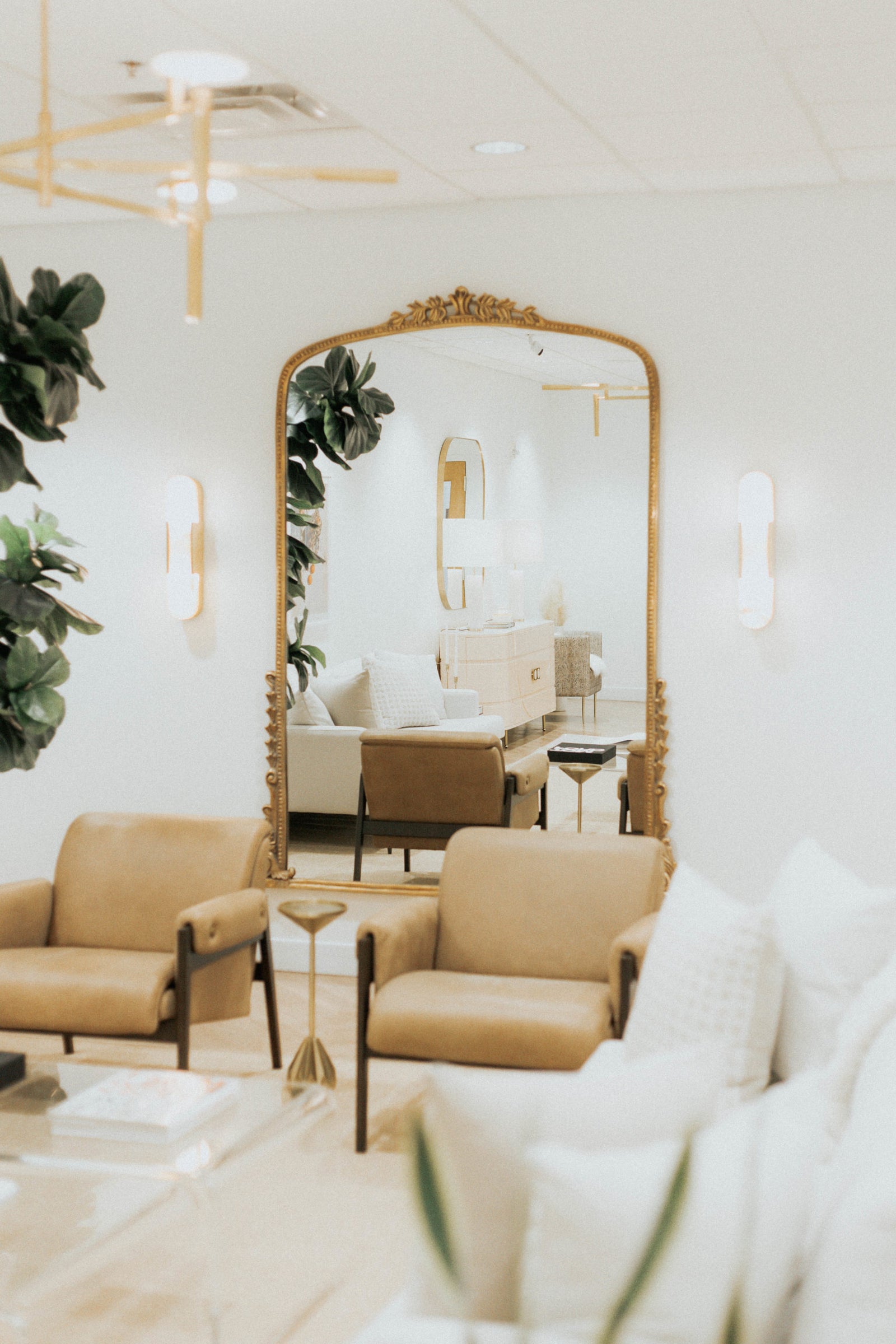 New to Skin Pharm? Start with These 3 Products