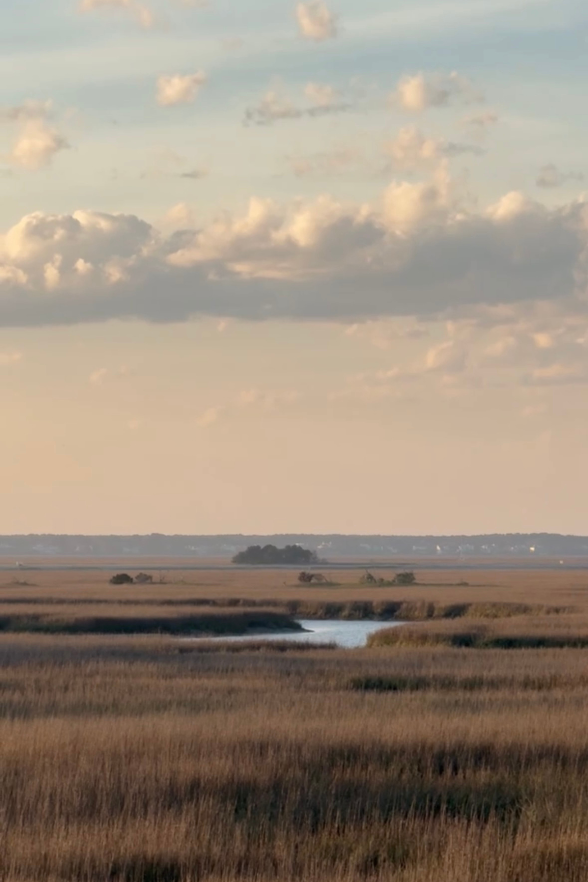 7 Wellness Tips for the Perfect Charleston Escape