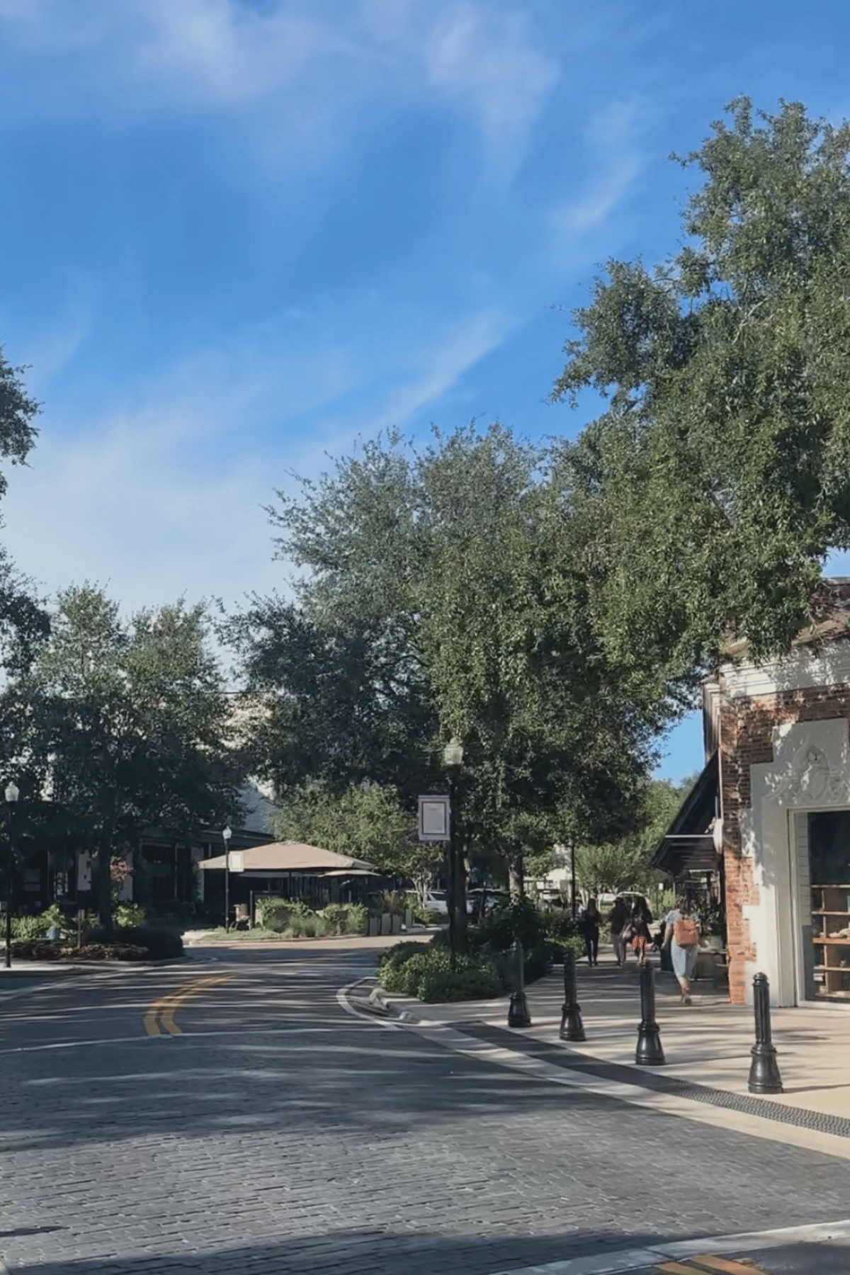 Skin Pharm’s Tampa City Guide